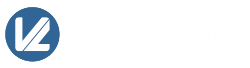 Grupo Vollight